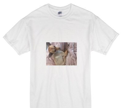 Custom Gildan 100% Cotton White T-Shirt