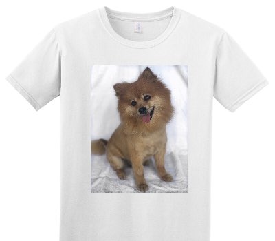 Custom Adult Soft Style 100% Cotton White T-Shirt