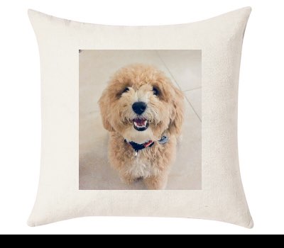 Custom Cushion Cover 50cm x 50 cm Off White