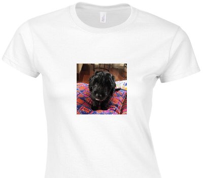 Custom Womens Soft Style 100% Cotton White T-Shirt