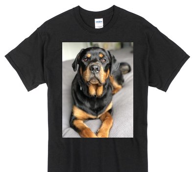 Custom Gildan 100% Cotton Black T-Shirt
