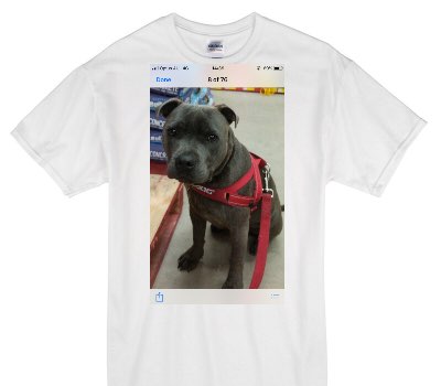 Custom Gildan 100% Cotton White T-Shirt
