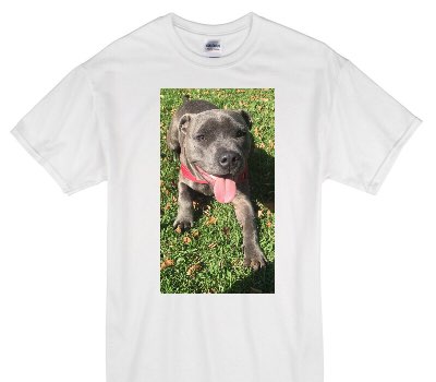 Custom Gildan 100% Cotton White T-Shirt