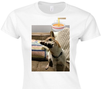 Custom Womens Soft Style 100% Cotton White T-Shirt