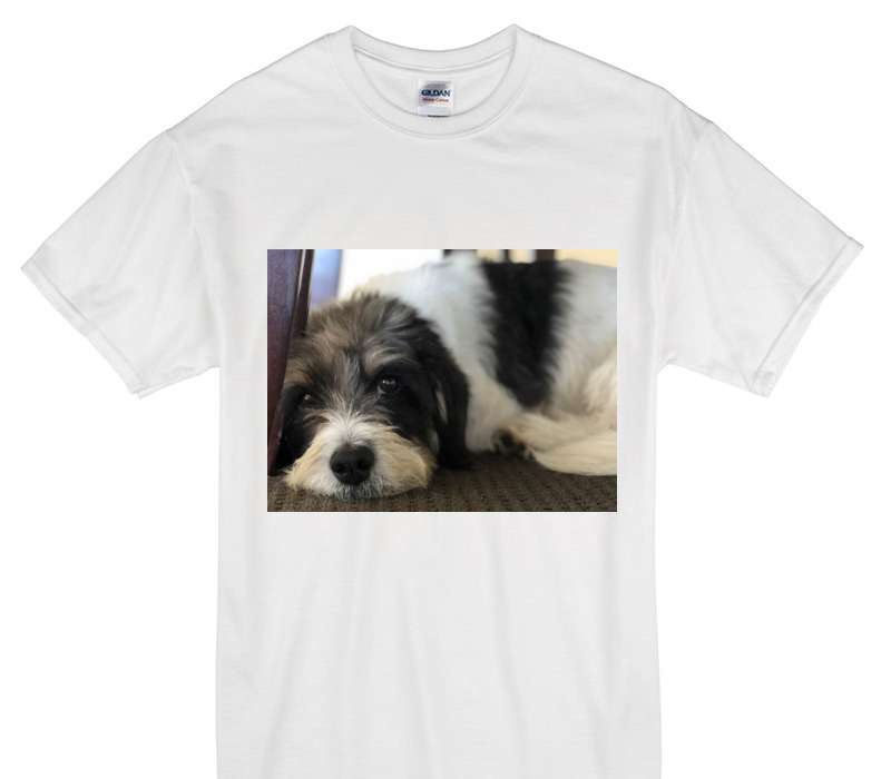 Custom Gildan 100% Cotton White T-Shirt