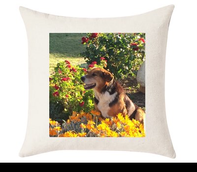 Custom Cushion Cover 50cm x 50 cm Off White