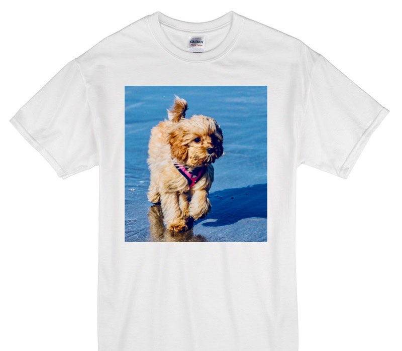 Custom Gildan 100% Cotton White T-Shirt