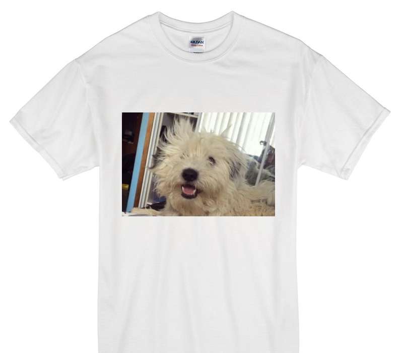 Custom Gildan 100% Cotton White T-Shirt