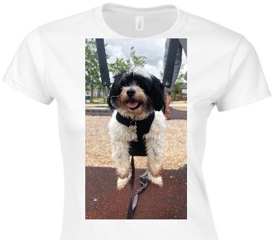 Custom Womens Soft Style 100% Cotton White T-Shirt