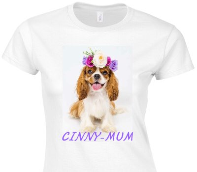 Custom Womens Soft Style 100% Cotton White T-Shirt
