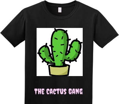 Custom Adult Soft Style 100% Cotton Black T-Shirt