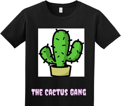 Custom Adult Soft Style 100% Cotton Black T-Shirt