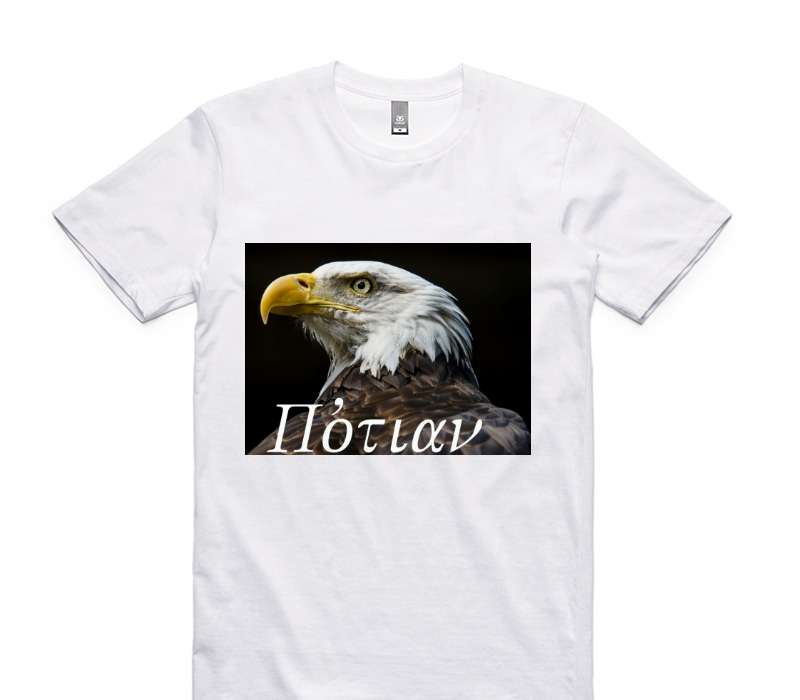 Custom AS Colour 100% Cotton White T-Shirt