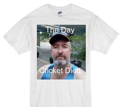 Custom Gildan 100% Cotton White T-Shirt