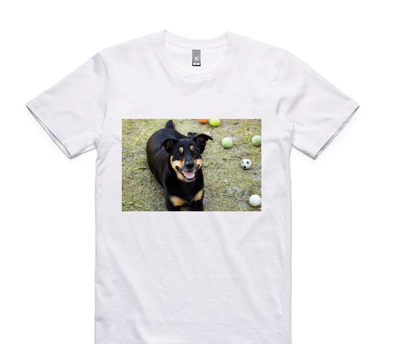 Custom AS Colour 100% Cotton White T-Shirt