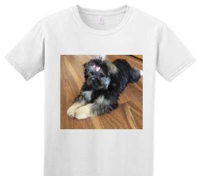 Custom Adult Soft Style 100% Cotton White T-Shirt
