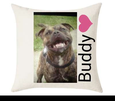 Custom Cushion Cover 50cm x 50 cm Off White