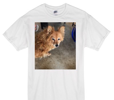 Custom Gildan 100% Cotton White T-Shirt