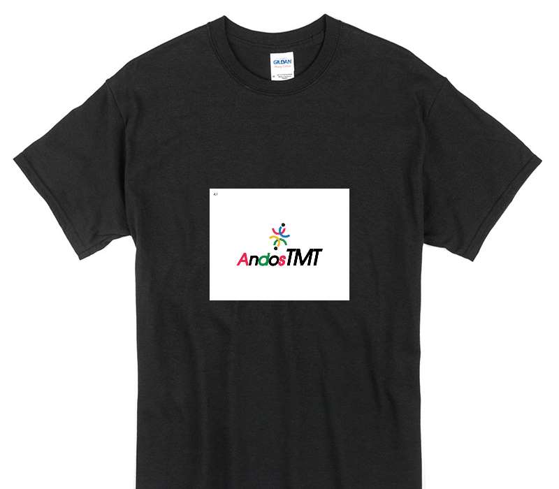 Custom Gildan 100% Cotton Black T-Shirt