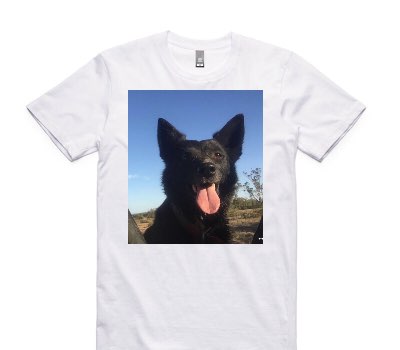 Custom AS Colour 100% Cotton White T-Shirt