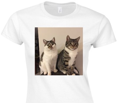 Custom Womens Soft Style 100% Cotton White T-Shirt