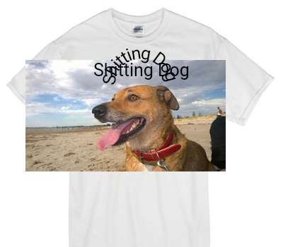Custom Gildan 100% Cotton White T-Shirt