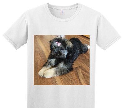 Custom Adult Soft Style 100% Cotton White T-Shirt