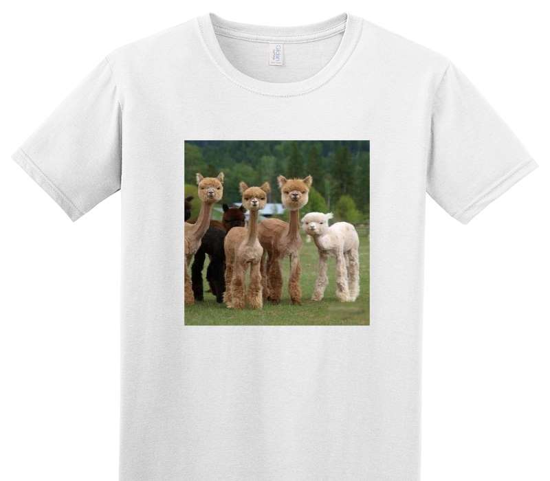 Custom Adult Soft Style 100% Cotton White T-Shirt