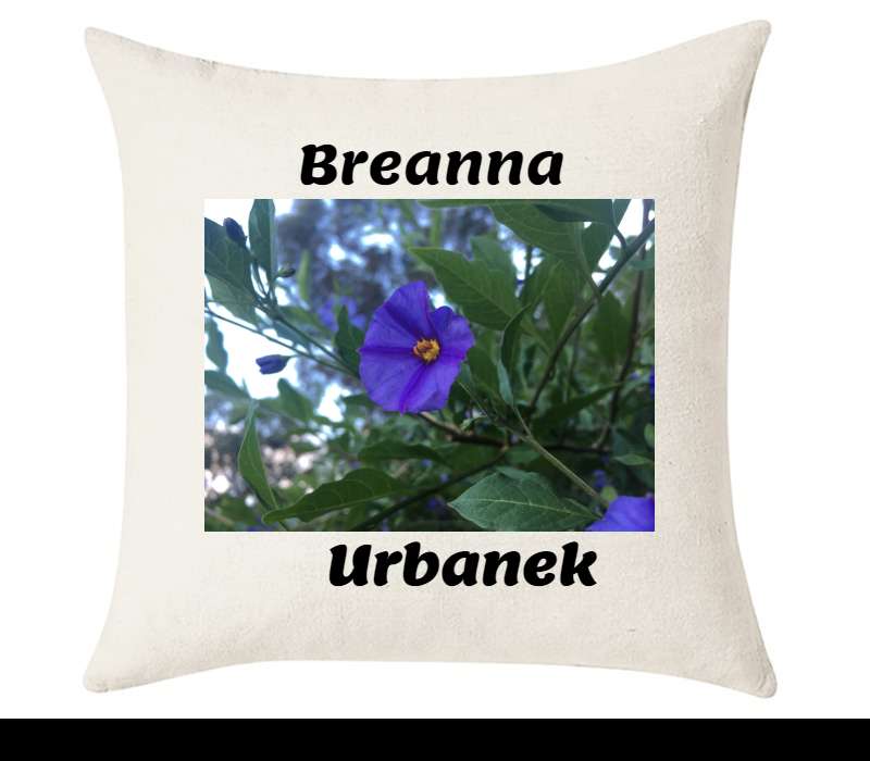 Custom Cushion Cover 50cm x 50 cm Off White