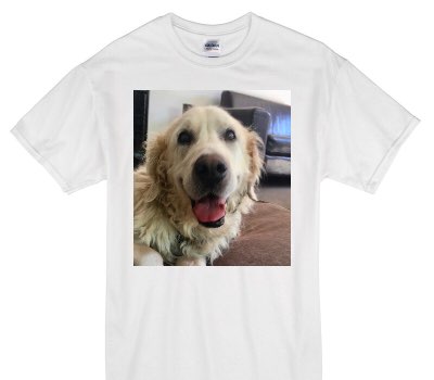 Custom Gildan 100% Cotton White T-Shirt