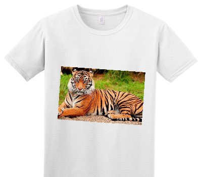 Custom Adult Soft Style 100% Cotton White T-Shirt