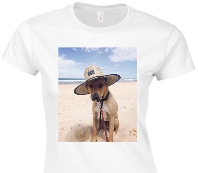 Custom Womens Soft Style 100% Cotton White T-Shirt