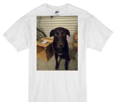 Custom Gildan 100% Cotton White T-Shirt