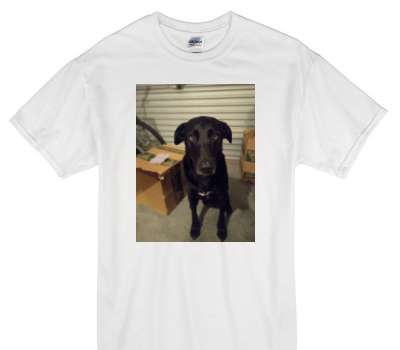 Custom Gildan 100% Cotton White T-Shirt