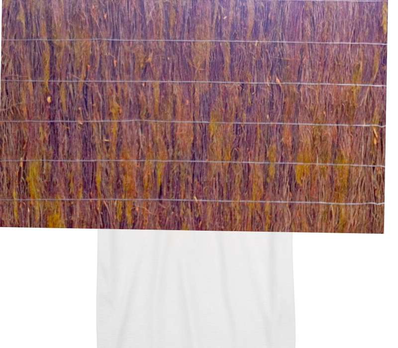 Custom Gildan 100% Cotton White T-Shirt