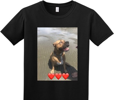 Custom Adult Soft Style 100% Cotton Black T-Shirt