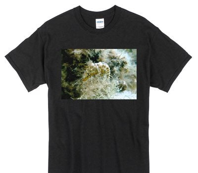 Custom Gildan 100% Cotton Black T-Shirt