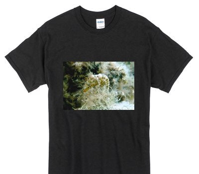Custom Gildan 100% Cotton Black T-Shirt