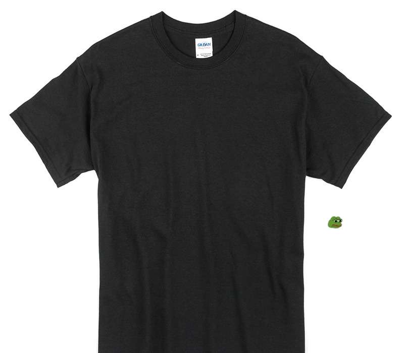 Custom Gildan 100% Cotton Black T-Shirt