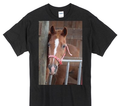 Custom Gildan 100% Cotton Black T-Shirt