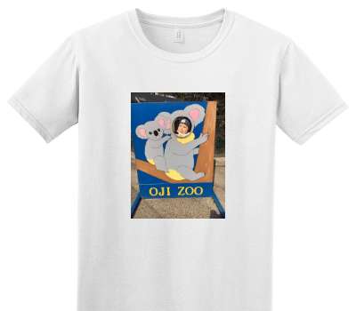 Custom Adult Soft Style 100% Cotton White T-Shirt