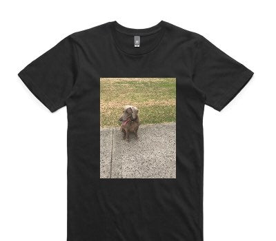 Custom AS Colour 100% Cotton Black T-Shirt