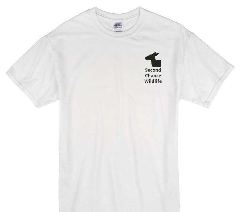 Custom Gildan 100% Cotton White T-Shirt
