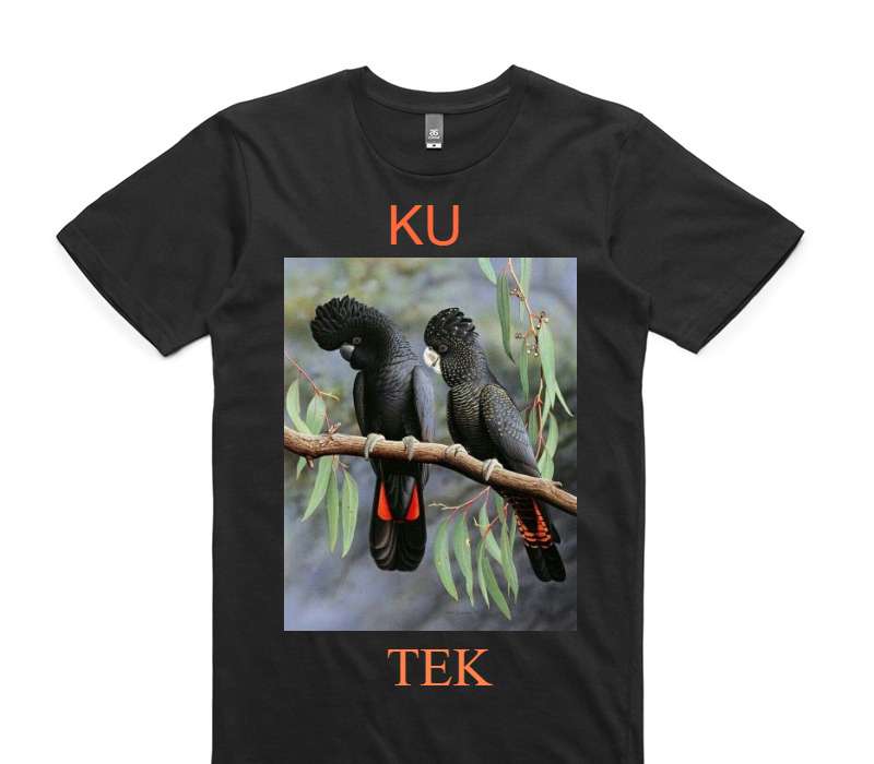 Custom AS Colour 100% Cotton Black T-Shirt