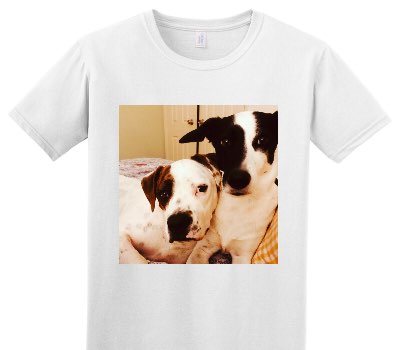 Custom Adult Soft Style 100% Cotton White T-Shirt