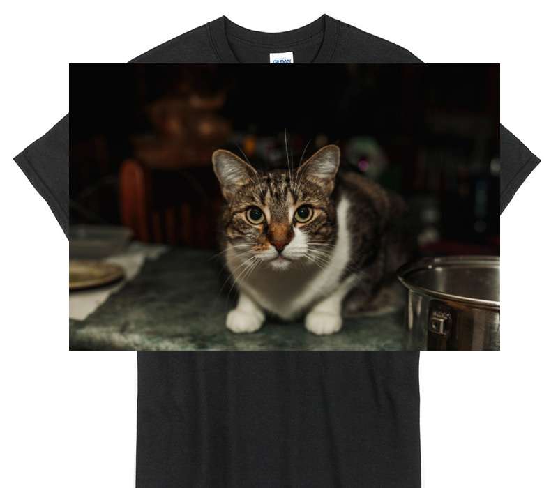 Custom Gildan 100% Cotton Black T-Shirt