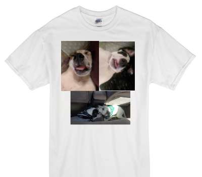 Custom Gildan 100% Cotton White T-Shirt