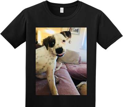 Custom Adult Soft Style 100% Cotton Black T-Shirt