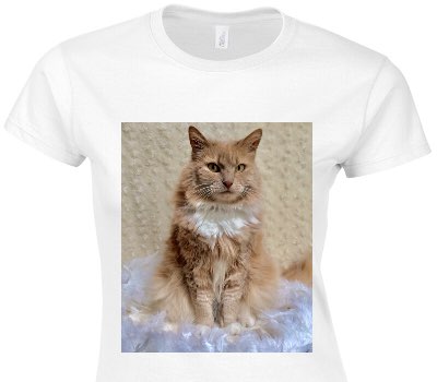 Custom Womens Soft Style 100% Cotton White T-Shirt