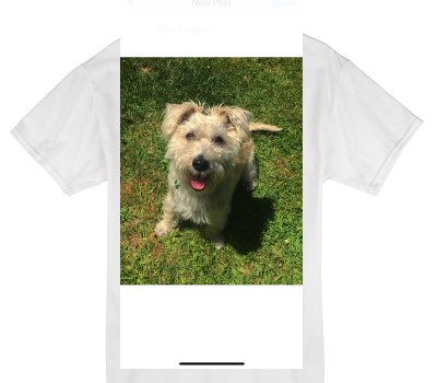 Custom Gildan 100% Cotton White T-Shirt